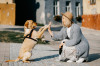Quanto è felice il tuo cane? Scopri 8 segnali per capirlo